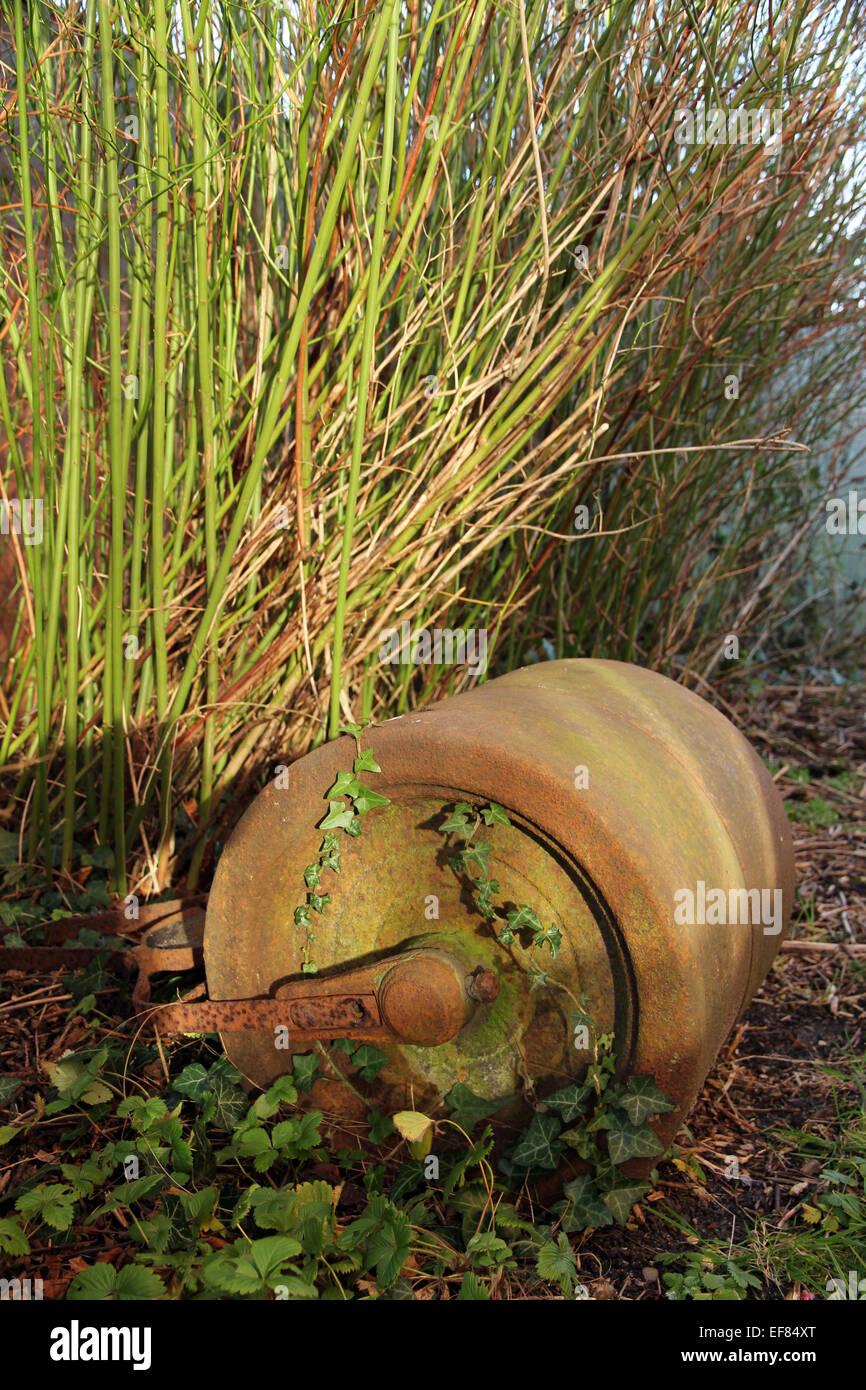 Rodillo de césped de fotografías e imágenes de alta resolución -