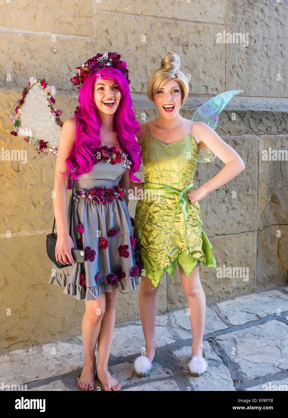 Dos jóvenes hermosas mujeres vestidas en dos diferentes trajes de hada con  alas de pie delante de una pared y sonrisa en Santa Barbara Fotografía de  stock - Alamy
