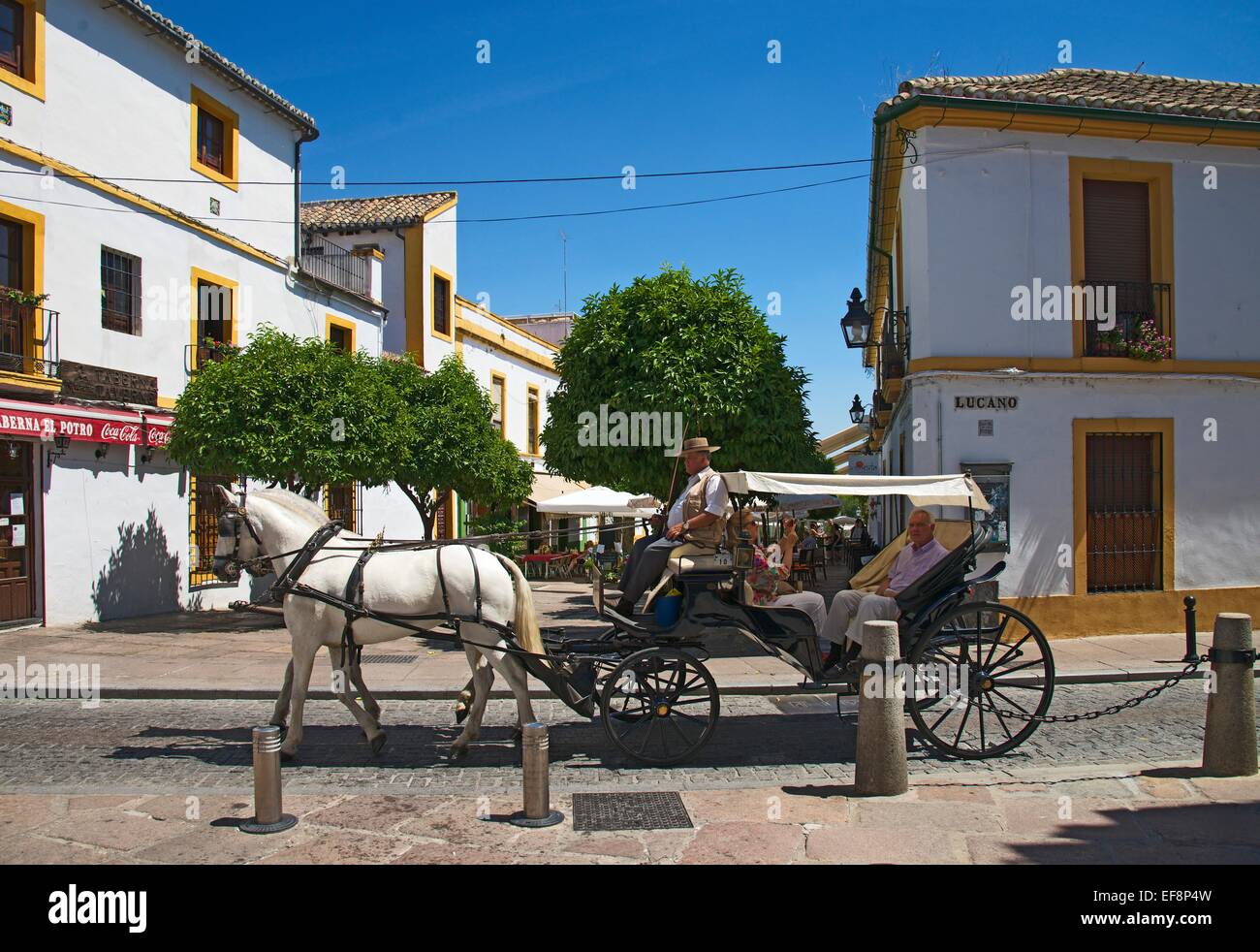 Transporte en la ciudad vieja, provincia de Córdoba, Andalucía, España Foto de stock