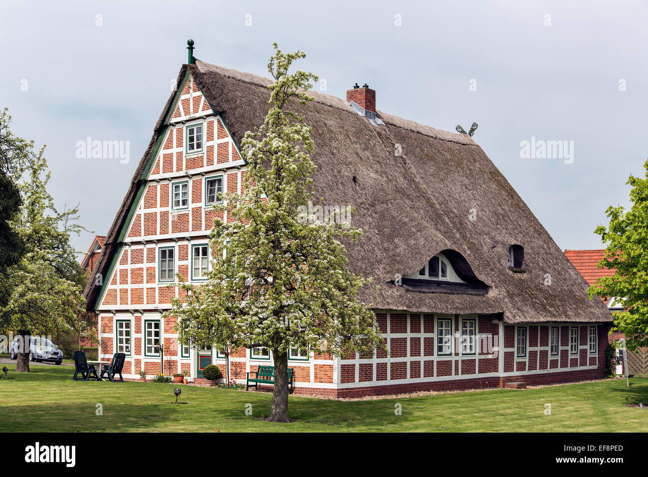 Granja de Frutas, Altes Land area, Königreich, Jork, Baja Sajonia, Alemania Foto de stock