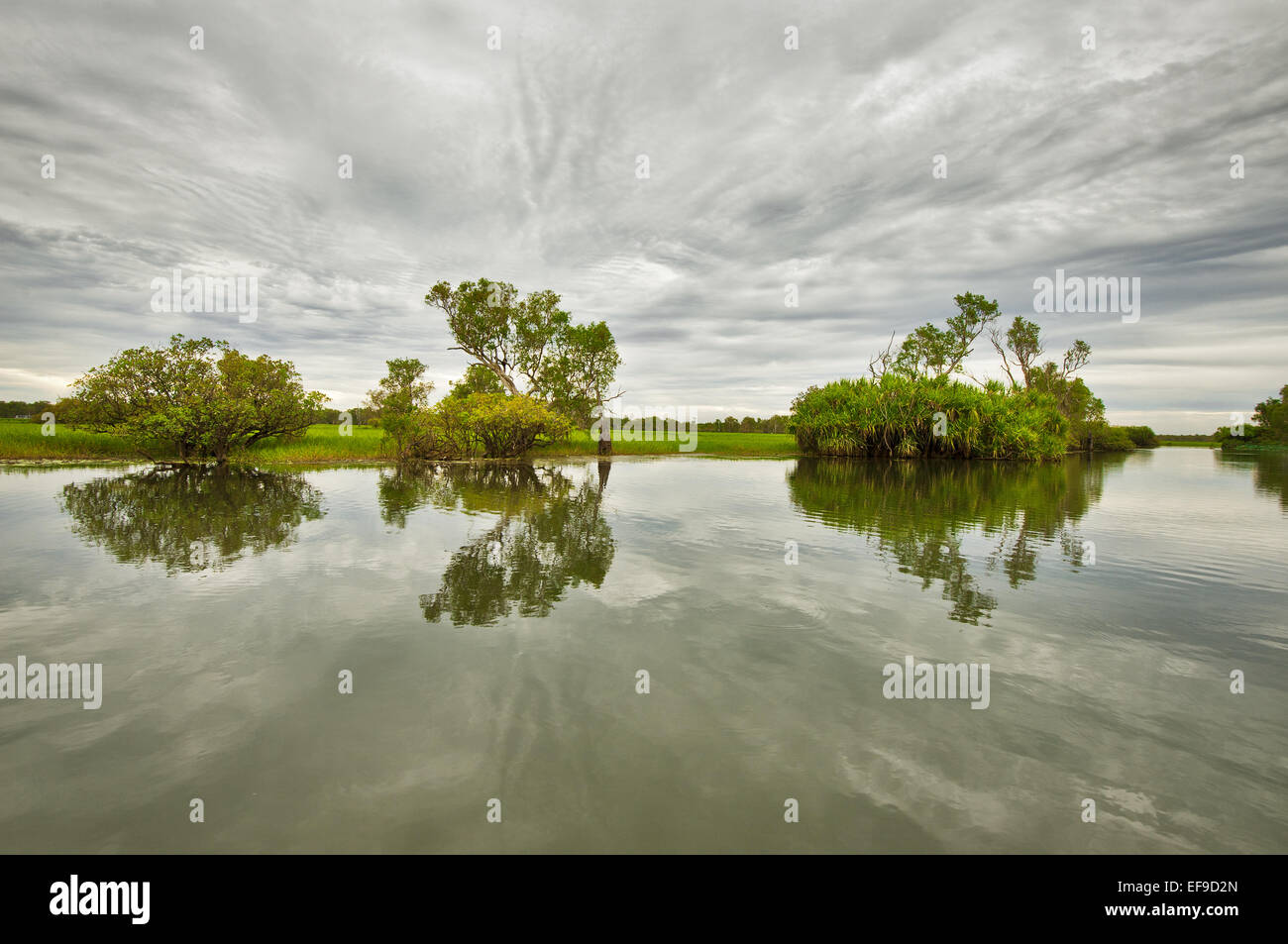 Reflexiones en agua amarilla en el Parque Nacional Kakadu. Foto de stock