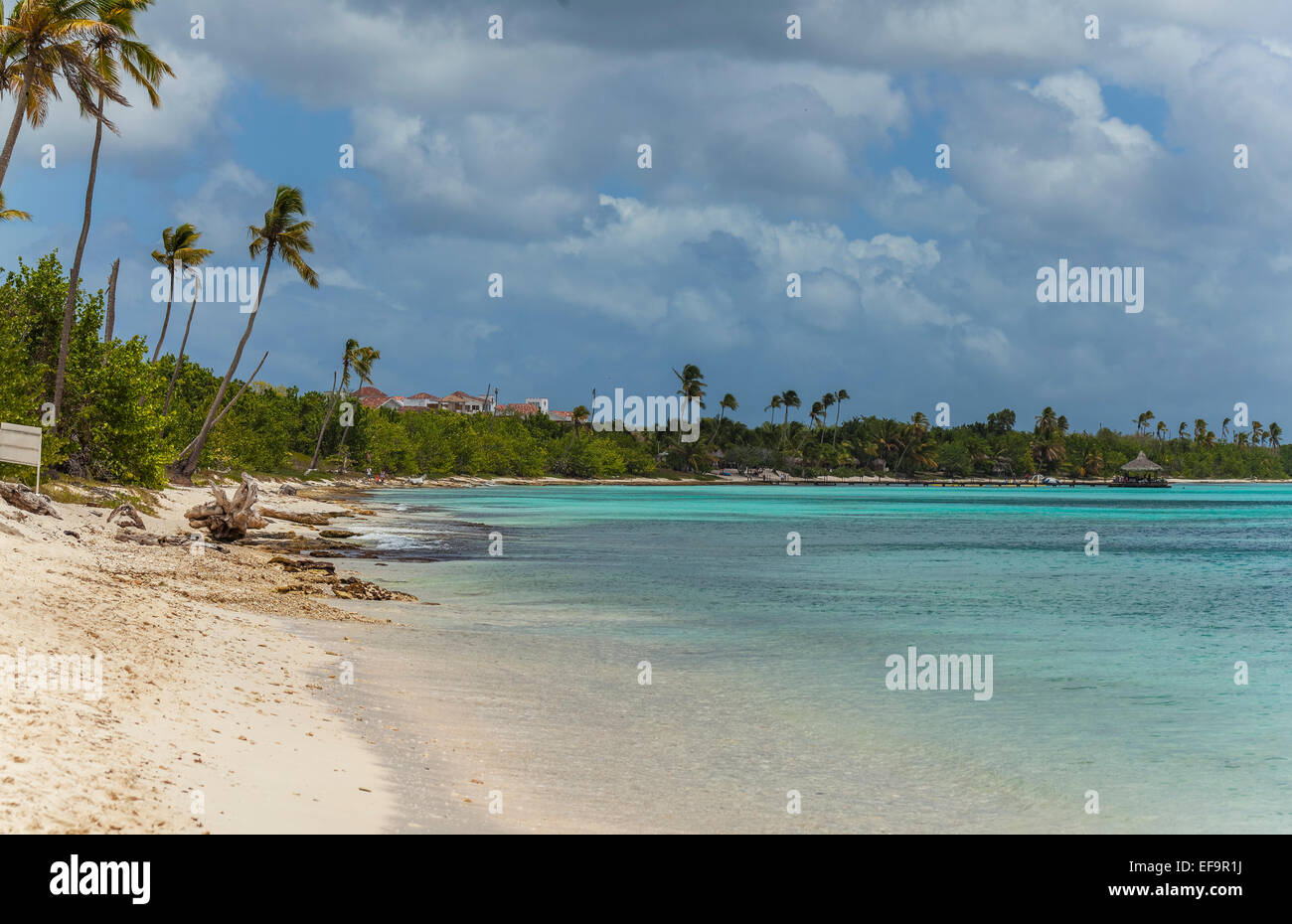 Playa de Bayahibe, Santo Domingo, República Dominicana, El Caribe, América del Norte Foto de stock