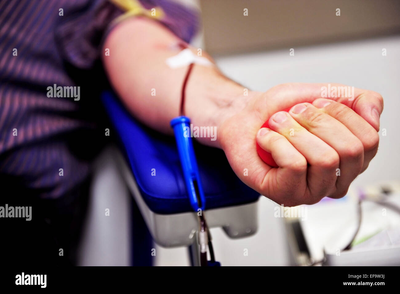 La mano de un donante de sangre apretar una pelota de goma médicos  Fotografía de stock - Alamy