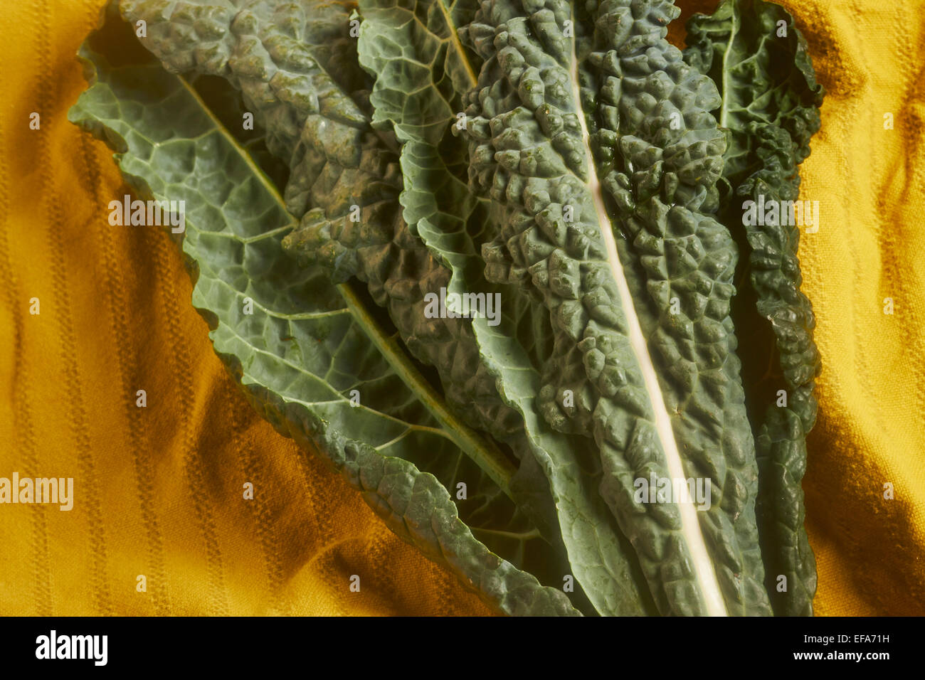 Crudos y frescos Kale Toscana Foto de stock