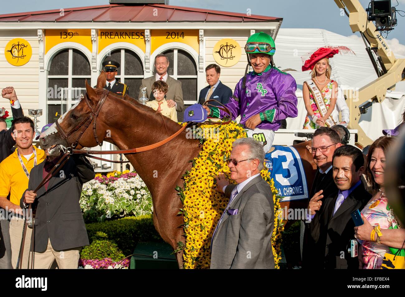 Jockey Víctor Espinoza con California Chrome en el Círculo de ganadores en la 139ª marcha del Preakness Stakes en Pimlico Race Course el 17 de mayo de 2014 en Baltimore, Maryland. Foto de stock