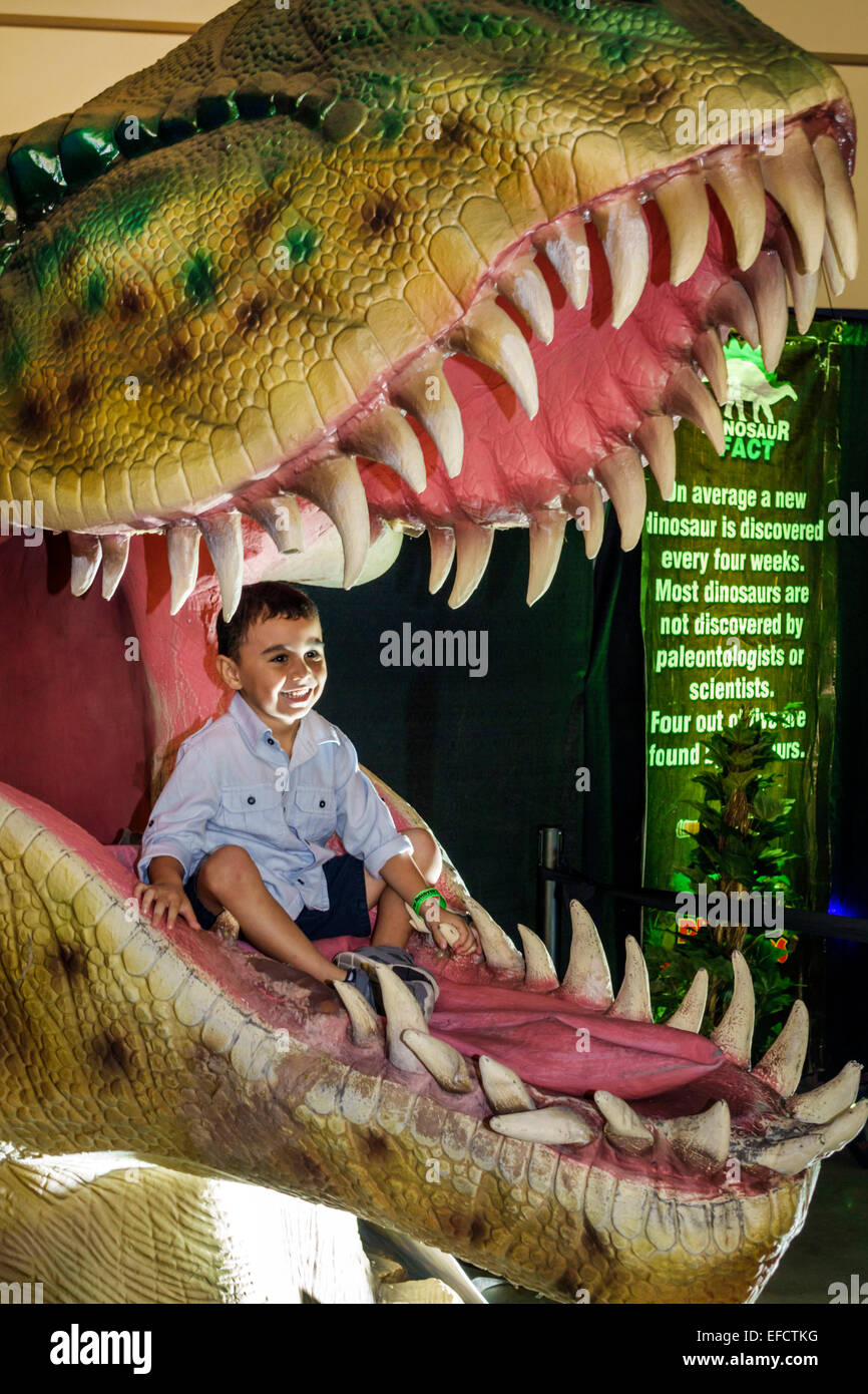 Mouth dinosaurs fotografías e imágenes de alta resolución - Alamy