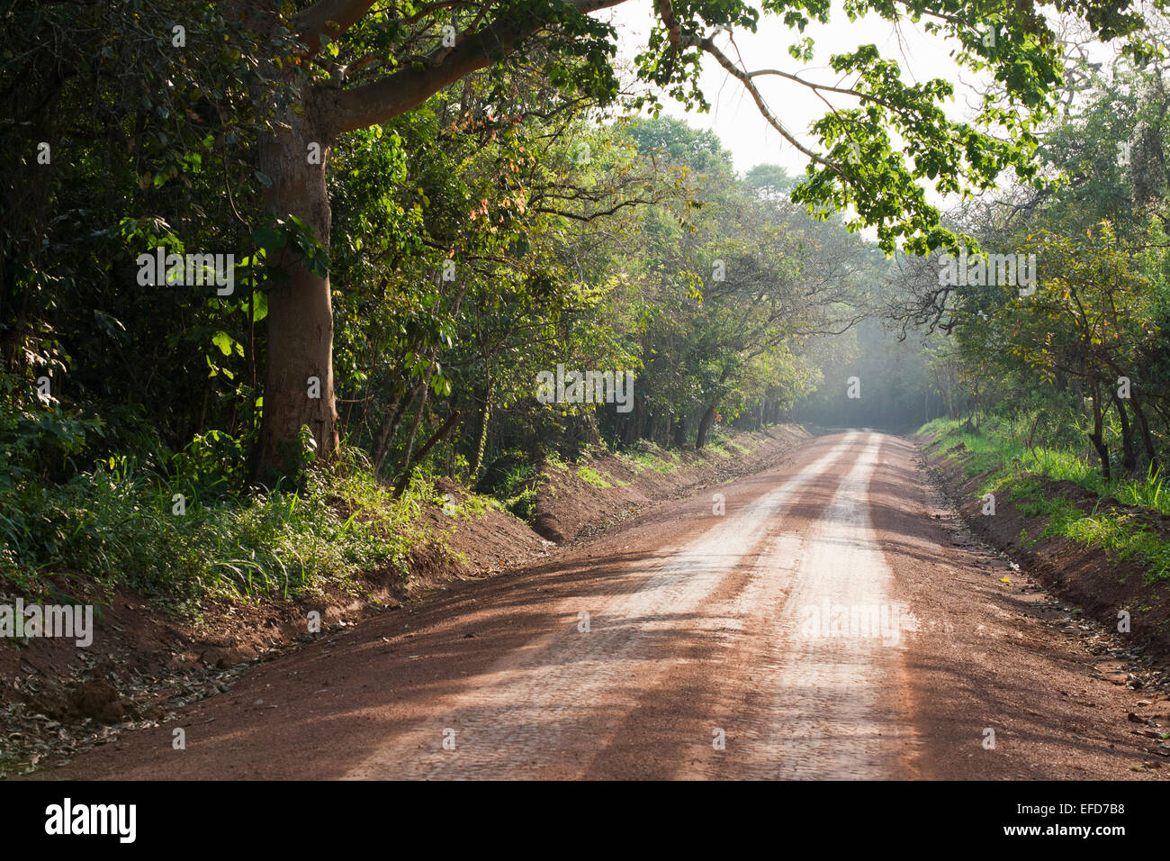 Carretera a través del Parque Nacional de Murchison Falls, Uganda Enero 2011 Foto de stock