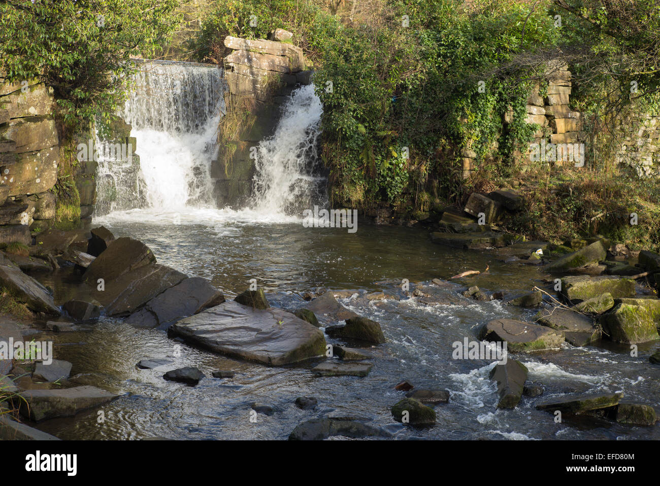 Cascada de Penllergare Woods Valley Country Estate, Swansea Fotografía