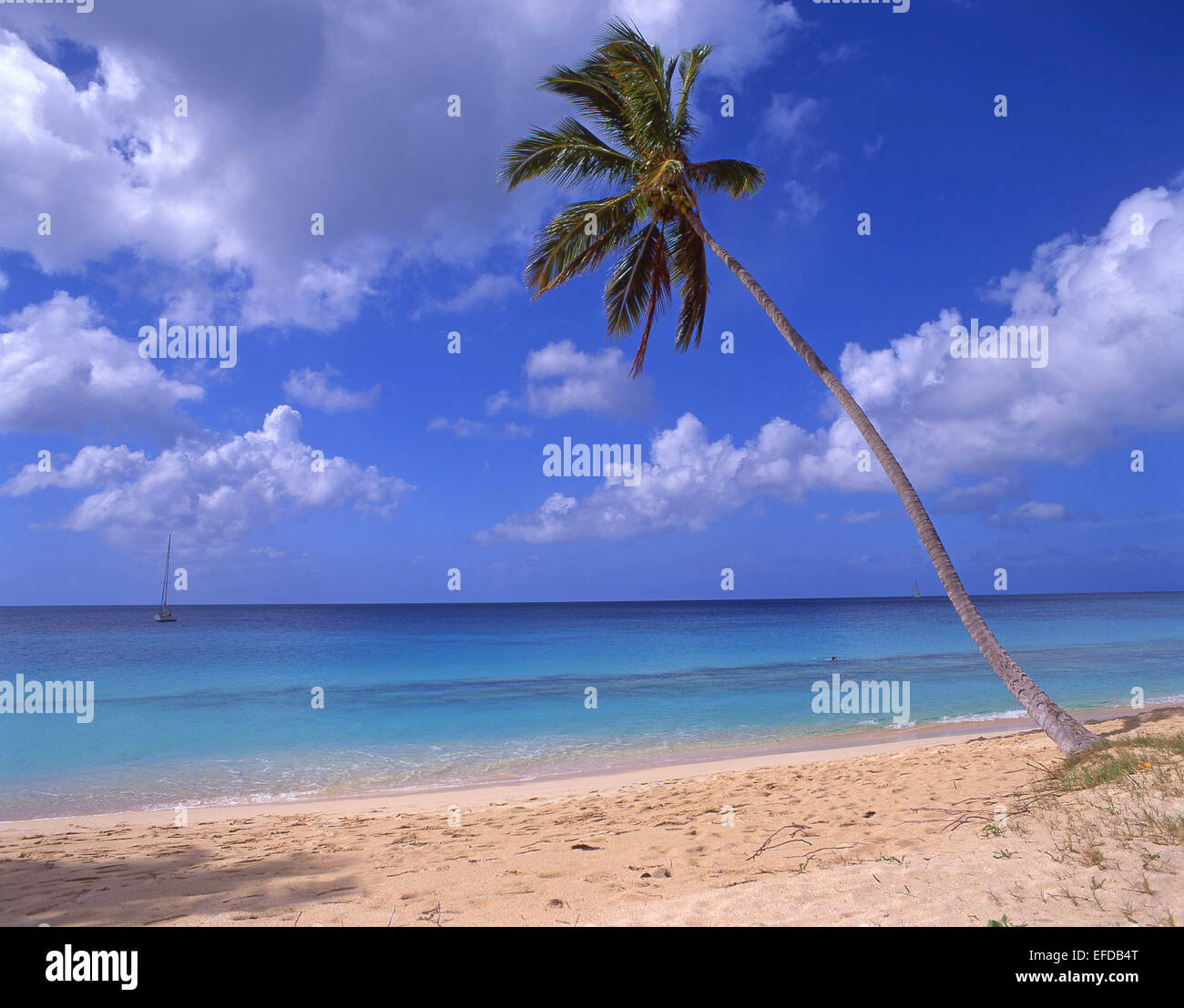 Playa de Darkwood, parroquia de Saint Mary's, Antigua, Antigua y Barbuda, Antillas, Caribe Foto de stock