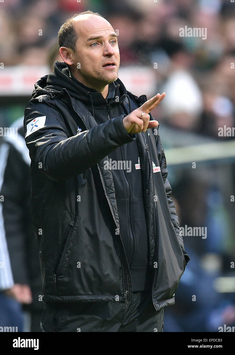 Bremen, Alemania. 01 Feb, 2015. El entrenador del Bremen Viktor Skripnik reacciona durante el partido de fútbol de la Bundesliga alemana entre SV Werder Bremen y Hertha BSC en el Weserstadion en Bremen, Alemania, 01 de febrero de 2015. Foto: CARMEN JASPERSEN/dpa/Alamy Live News Foto de stock