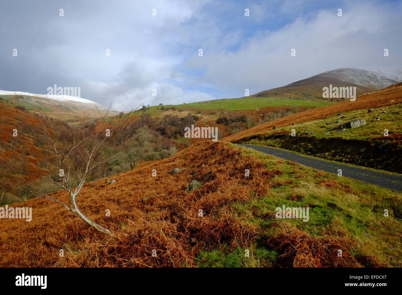 Caminando por Cadair Idris en invierno Foto de stock