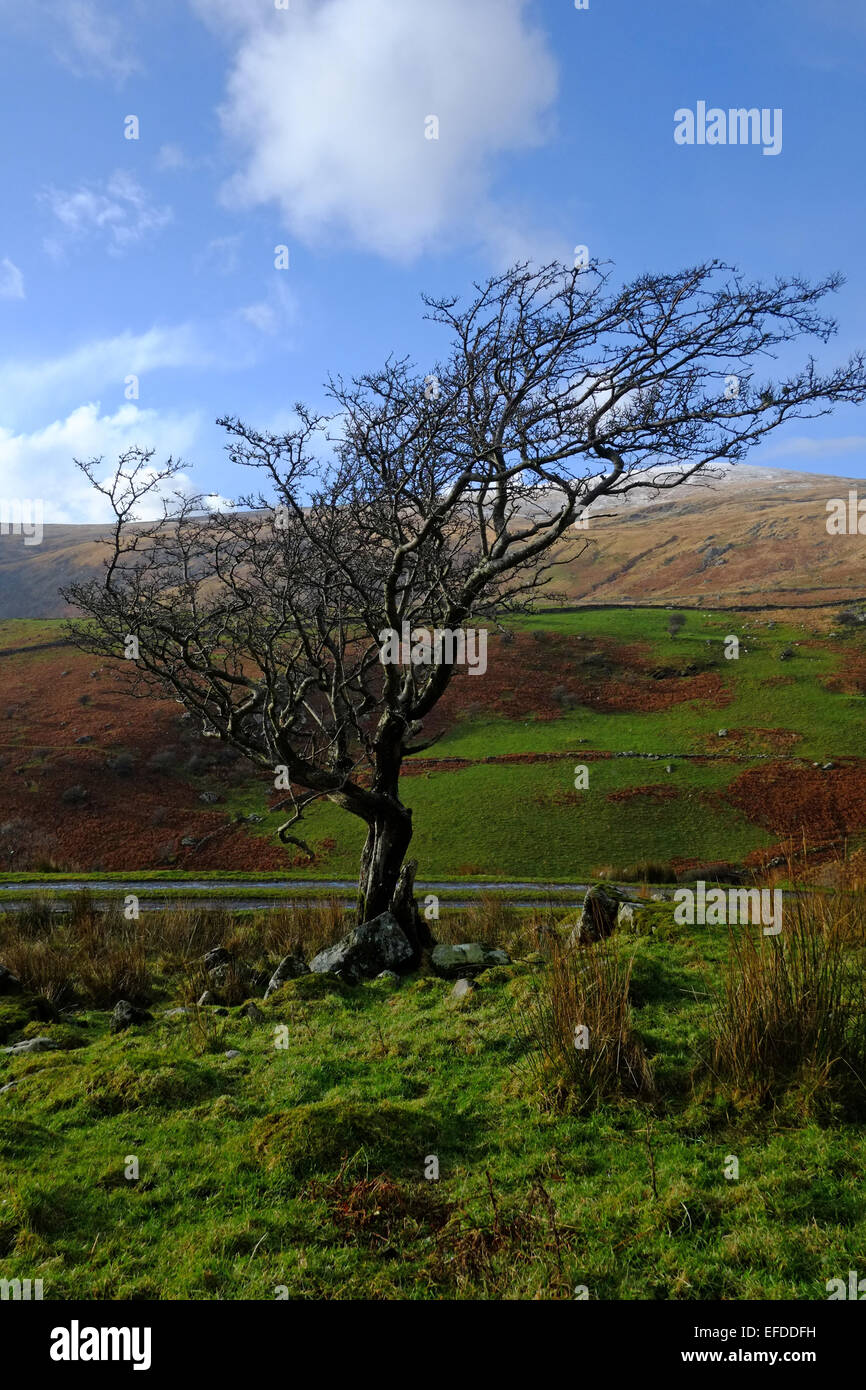 Caminando por Cadair Idris en invierno Foto de stock