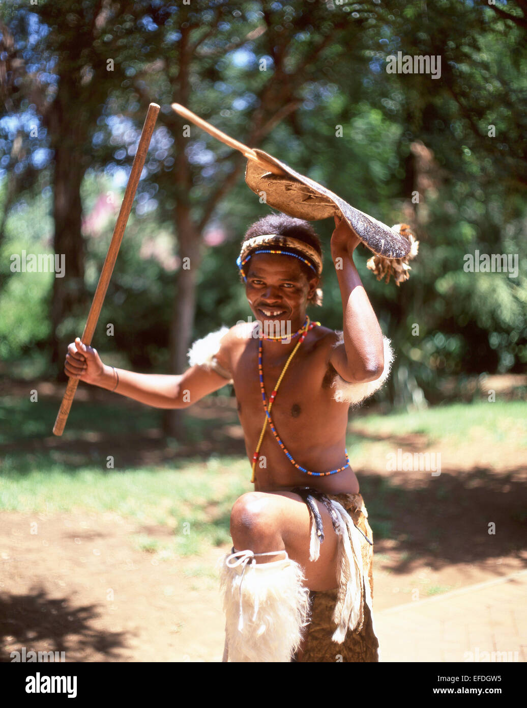 Zulu warrior en Cultural Lesedi African Village, Broederstroom, Johannesburgo, en la provincia de Gauteng, República de Sudáfrica. Foto de stock