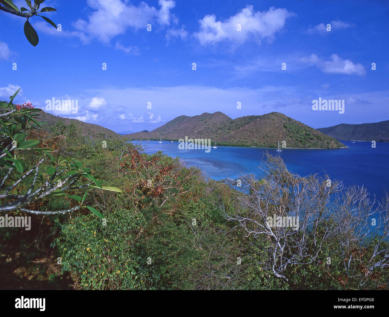 Vista costera, Saint John, Islas Vírgenes de EE.UU., Las Antillas, Caribe Foto de stock