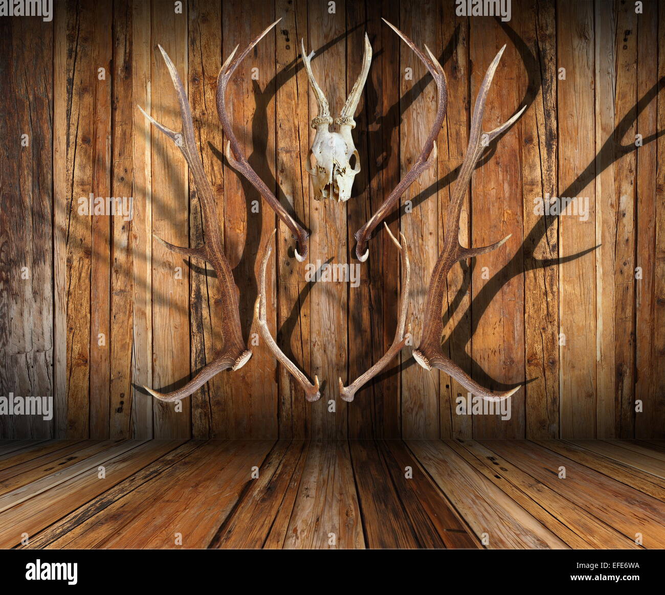 Trofeos de animales fotografías e imágenes de alta resolución Alamy Trofeos de animales fotografías e imágenes de alta resolución Alamy