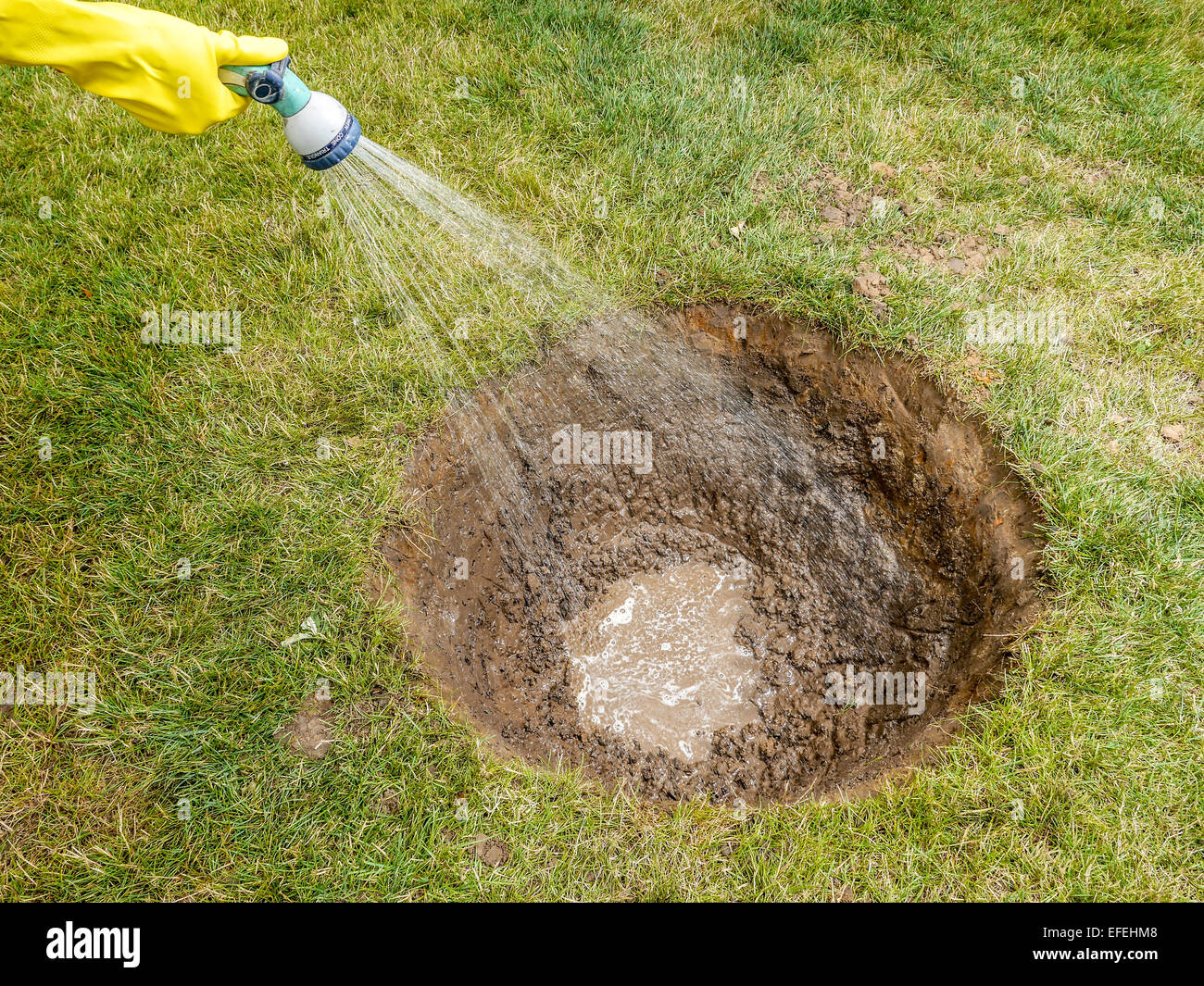 Primer plano de la mano del jardinero regando hoyo cavado en el patio antes de plantar un árbol nuevo Foto de stock