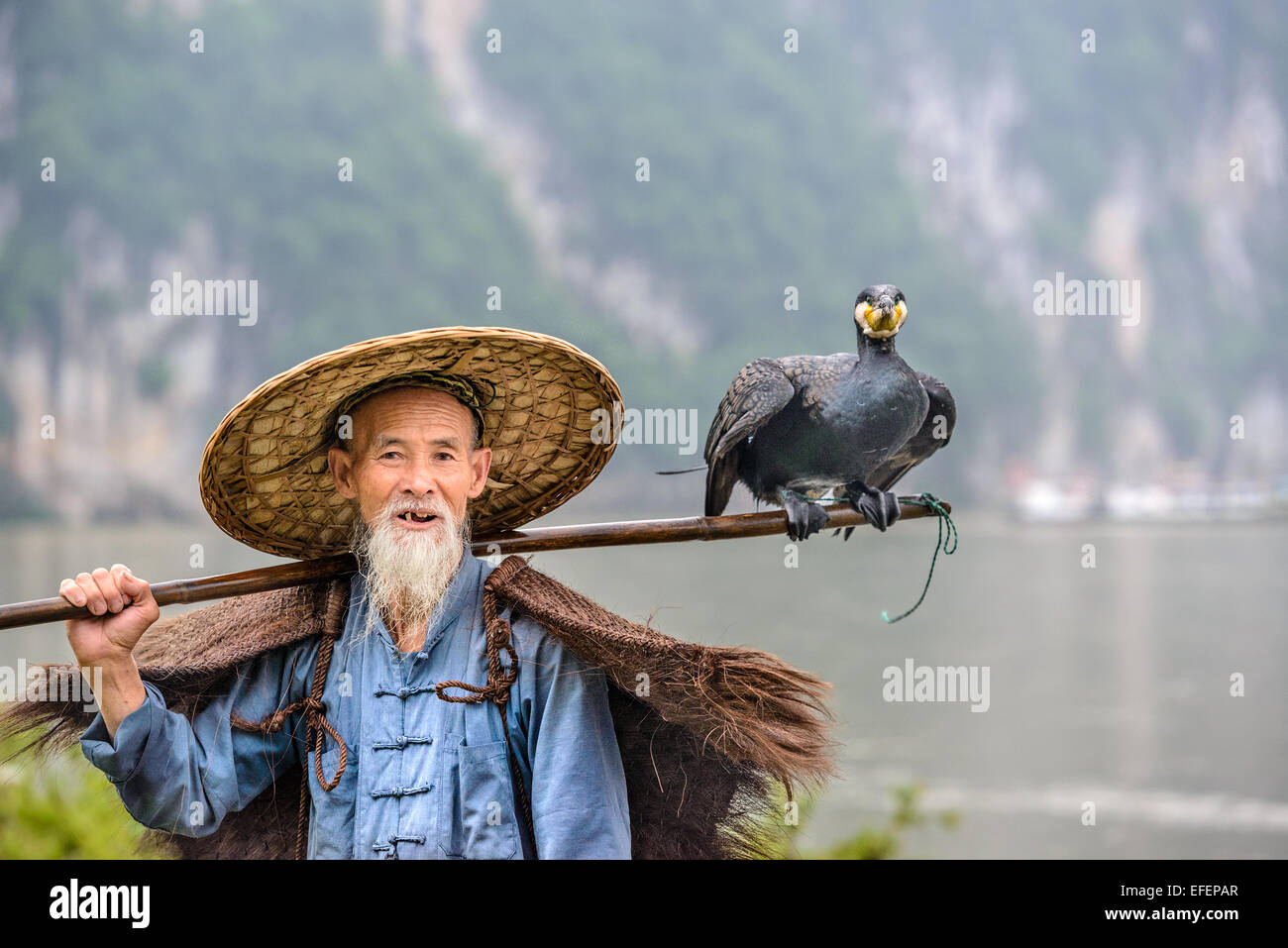 Cormorán pescador y su ave en el río Li en Yangshuo, Guangxi, China. Foto de stock