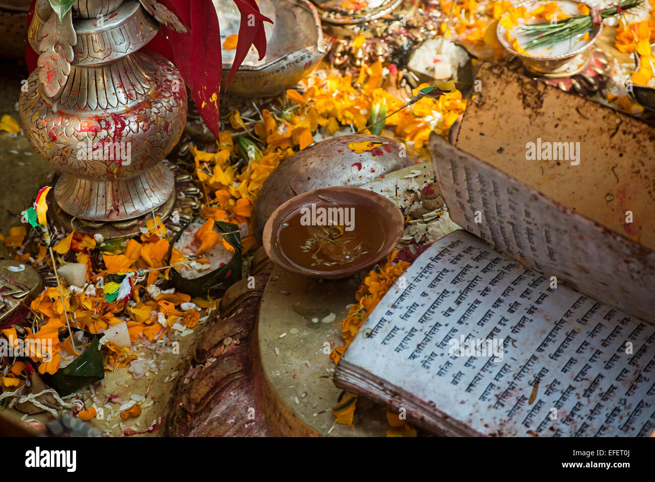 Ceremonia nepalés con libro budista en Monkey Temple, Katmandú, Nepal. Foto de stock