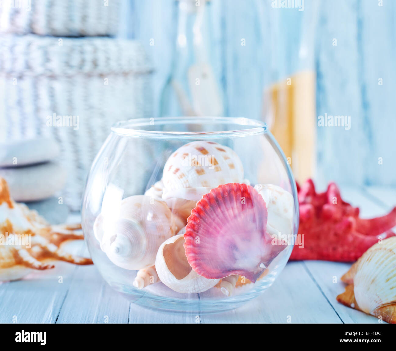 Conchas de mar en vaso fotografías e imágenes de alta resolución - Alamy