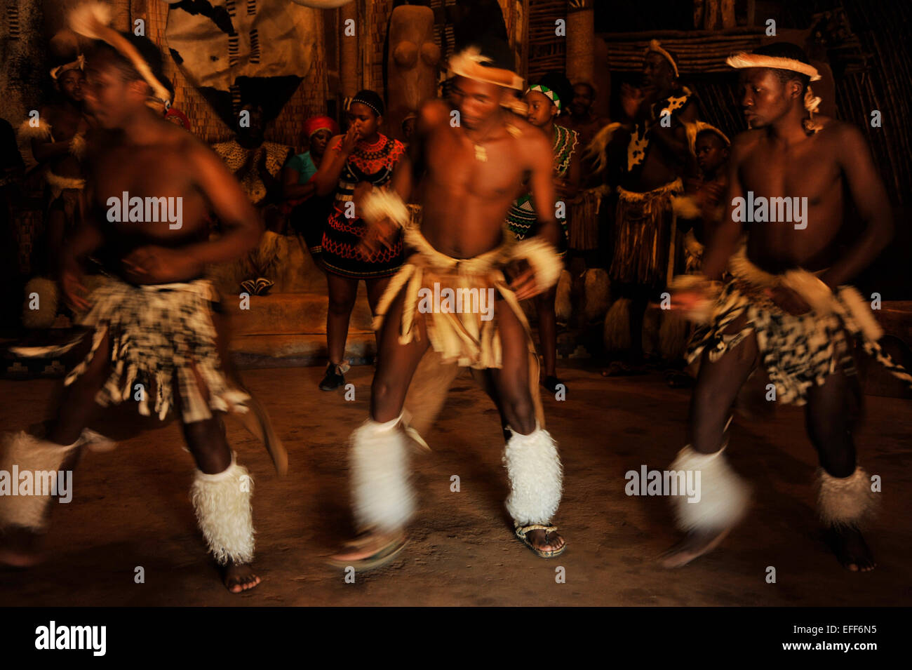 Gente, jóvenes adultos, cultura, bailarines, danza tradicional zulú, Aldea temática de Shakaland, KwaZulu-Natal, Sudáfrica, étnica, movimiento, acción Foto de stock
