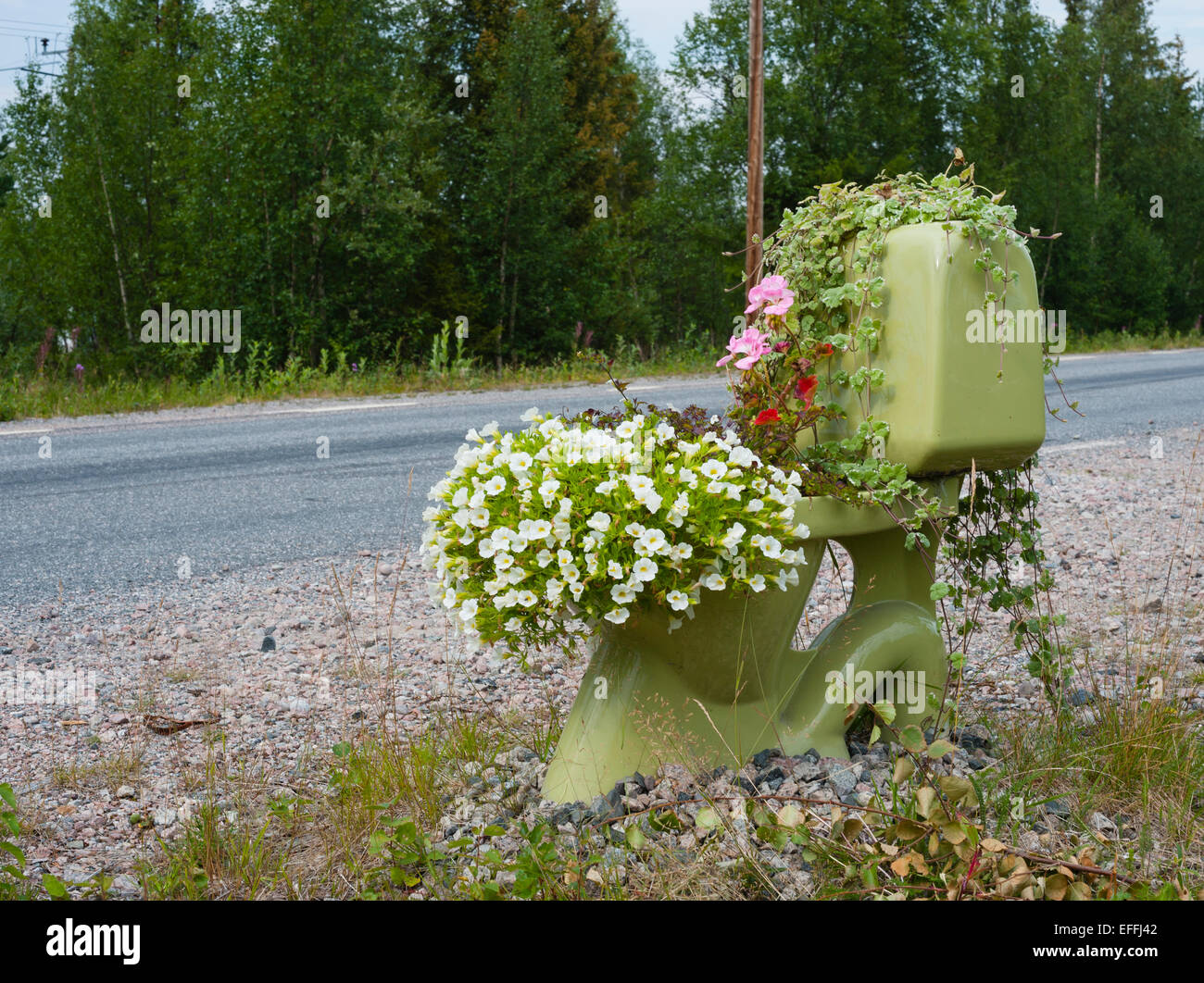 Suecia, Laponia, el condado de Norrbotten, WC con flores al lado de la carretera Foto de stock