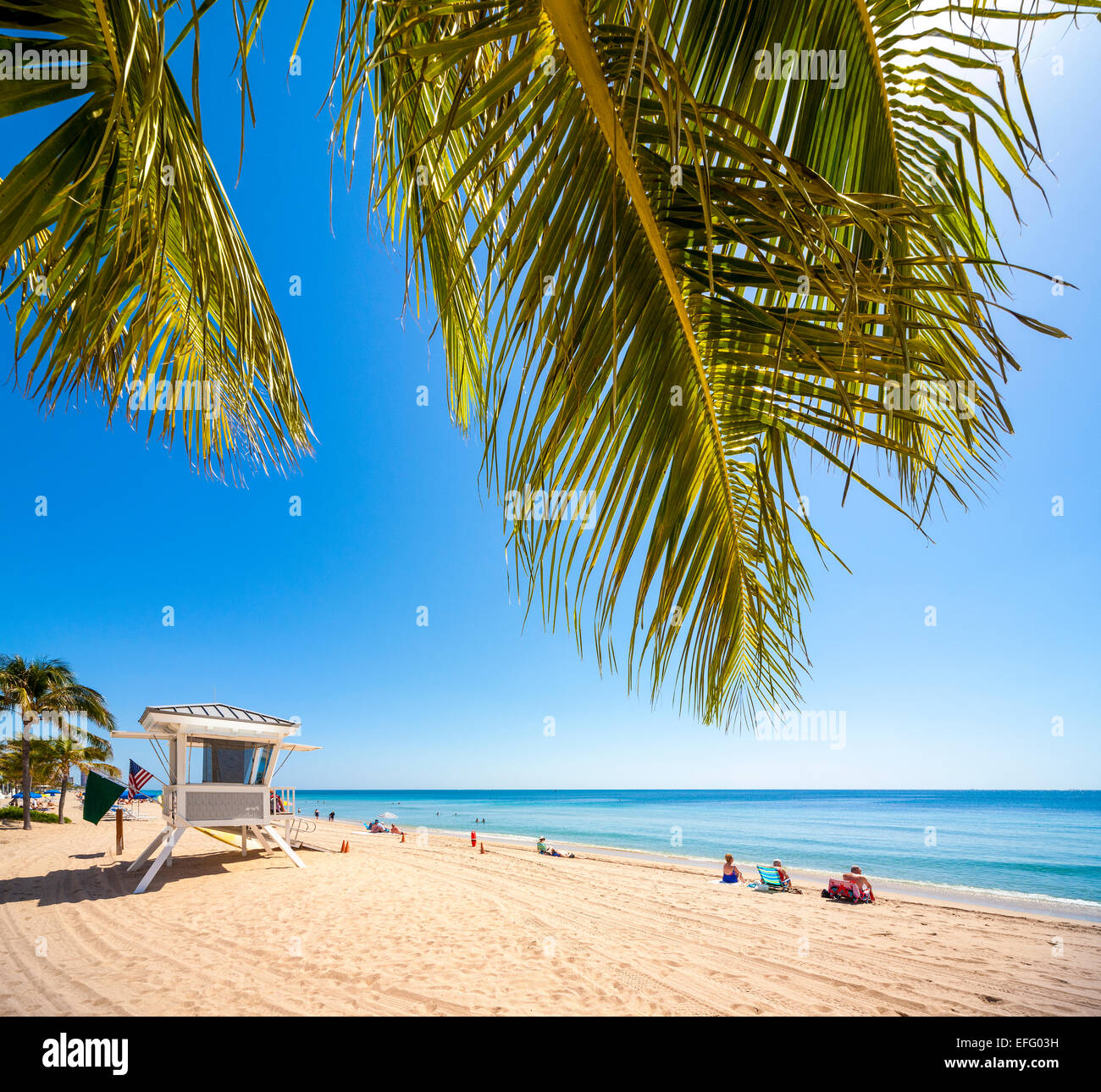 Palmeras en la tranquila playa de Ft Lauderdale, Fort Lauderdale Beach, Florida, con estación de vigilante de la playa y el pueblo del sol Foto de stock