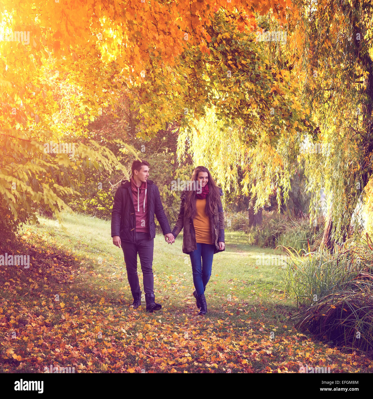 Pareja tomados de la mano caminando en el bosque en otoño Foto de stock