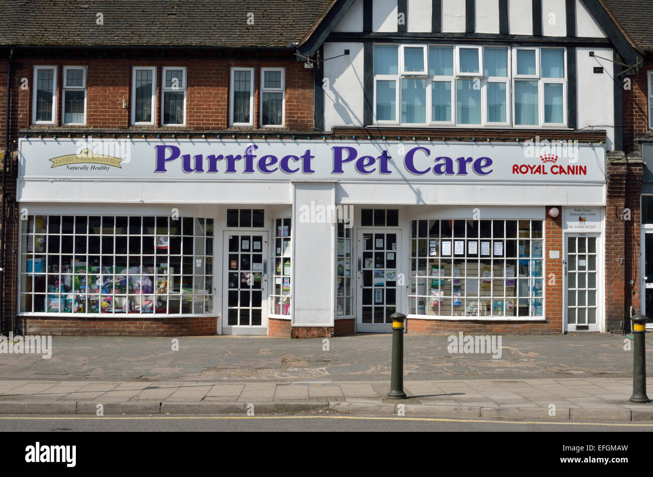 Purrfect Pet Care tienda en madera Petts, Bromley, Londres, Reino Unido. Foto de stock