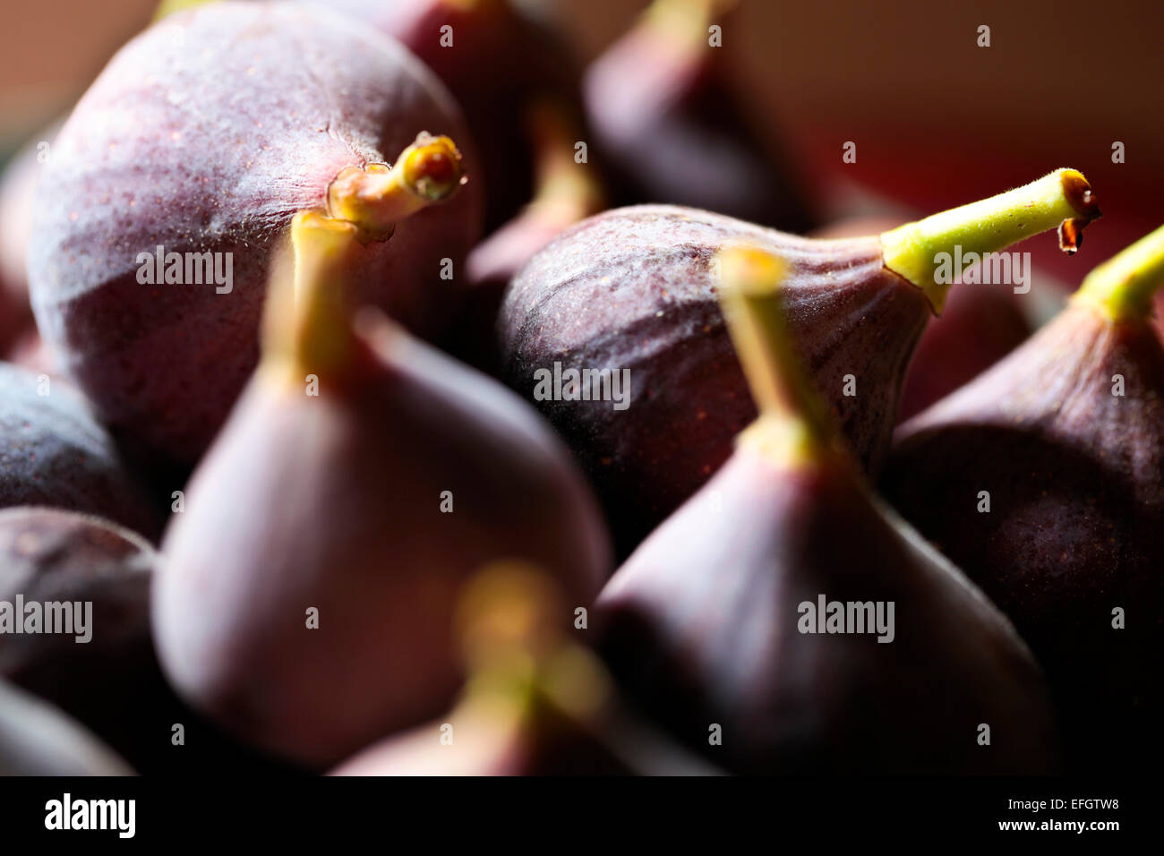 Los higos maduros (Ficus carica) Foto de stock