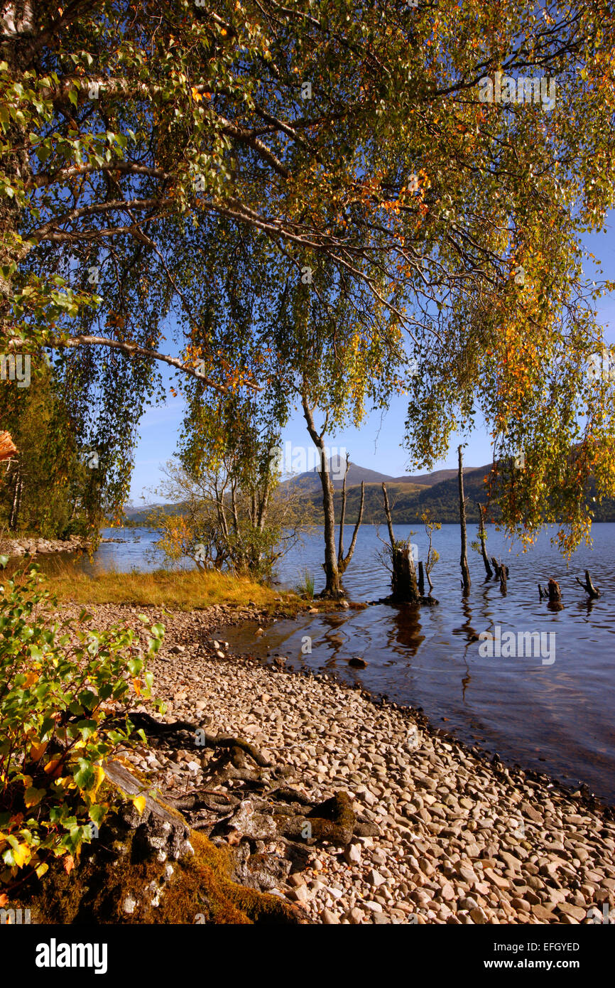 Escena de otoño en Loch Rannoch, Pertshire Foto de stock