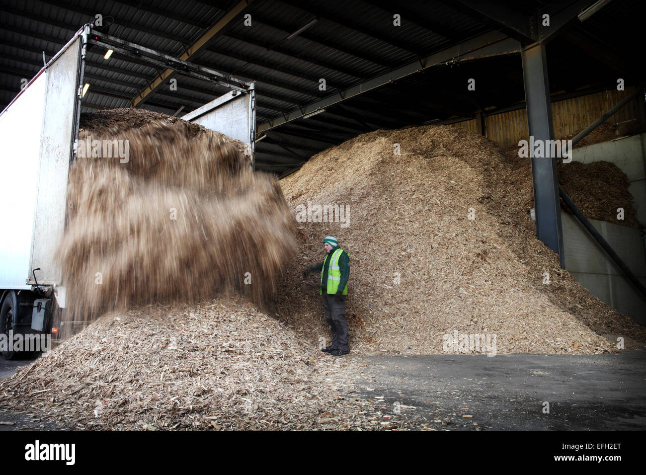 Comprobación de trabajador forestal de descarga de residuos en la planta de biomasa Foto de stock