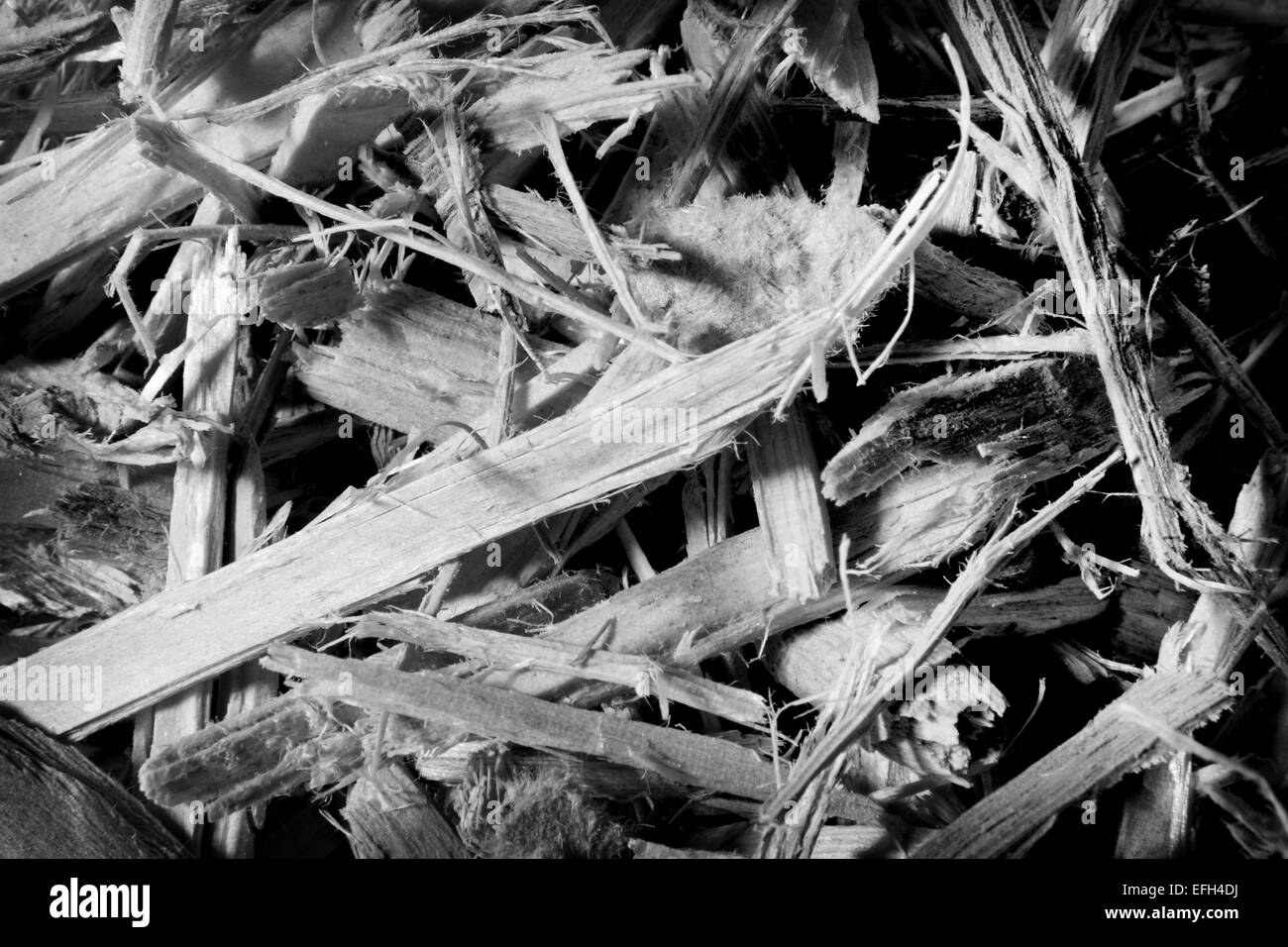 Cerca de virutas de madera para la biomasa, en blanco y negro Foto de stock