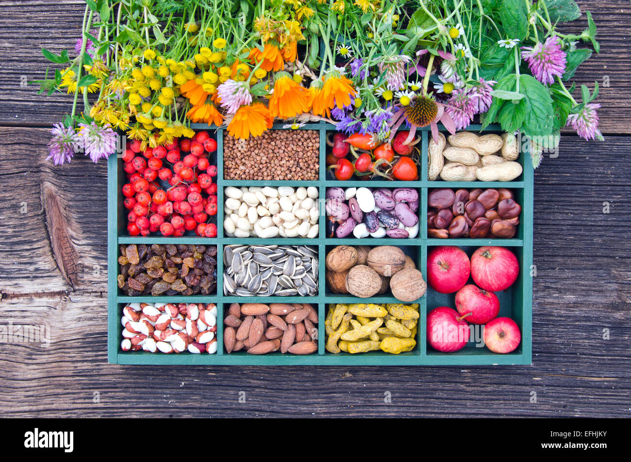 Diversas plantas medicinales, frutas sanas vegetarianas, semillas y