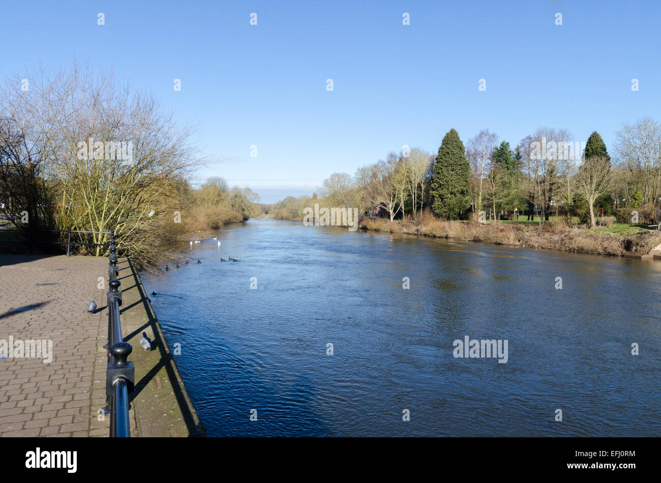 Río Severn en un soleado día de primavera en Bewdley, Worcestershire Foto de stock