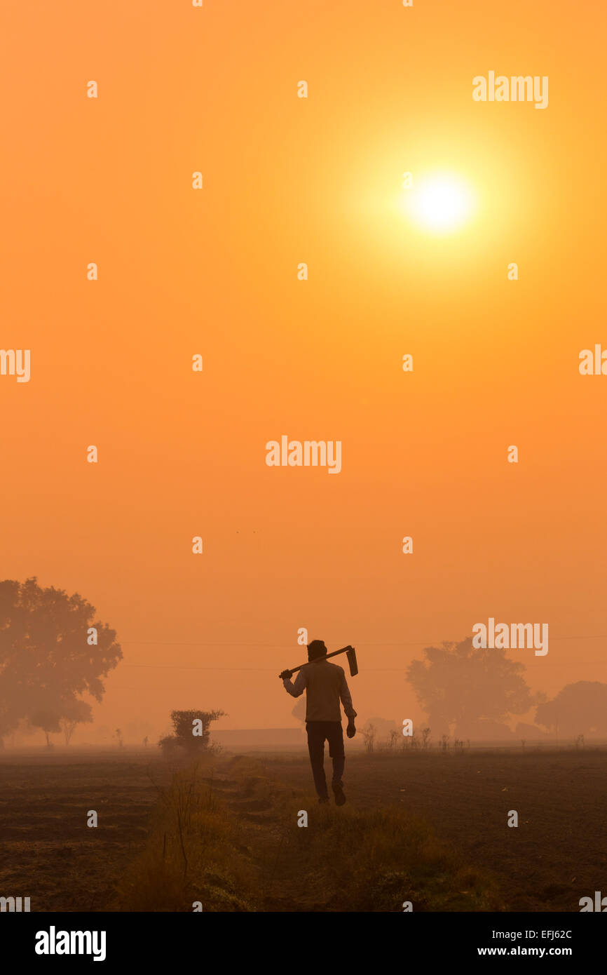 La India, Uttar Pradesh, Agra, el hombre caminando al trabajo sosteniendo la azada al amanecer. Foto de stock