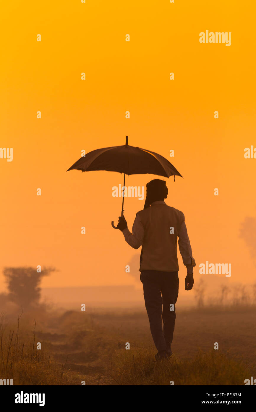 La India, Uttar Pradesh, Agra, el hombre caminando al trabajo la celebración de paraguas al amanecer. Foto de stock