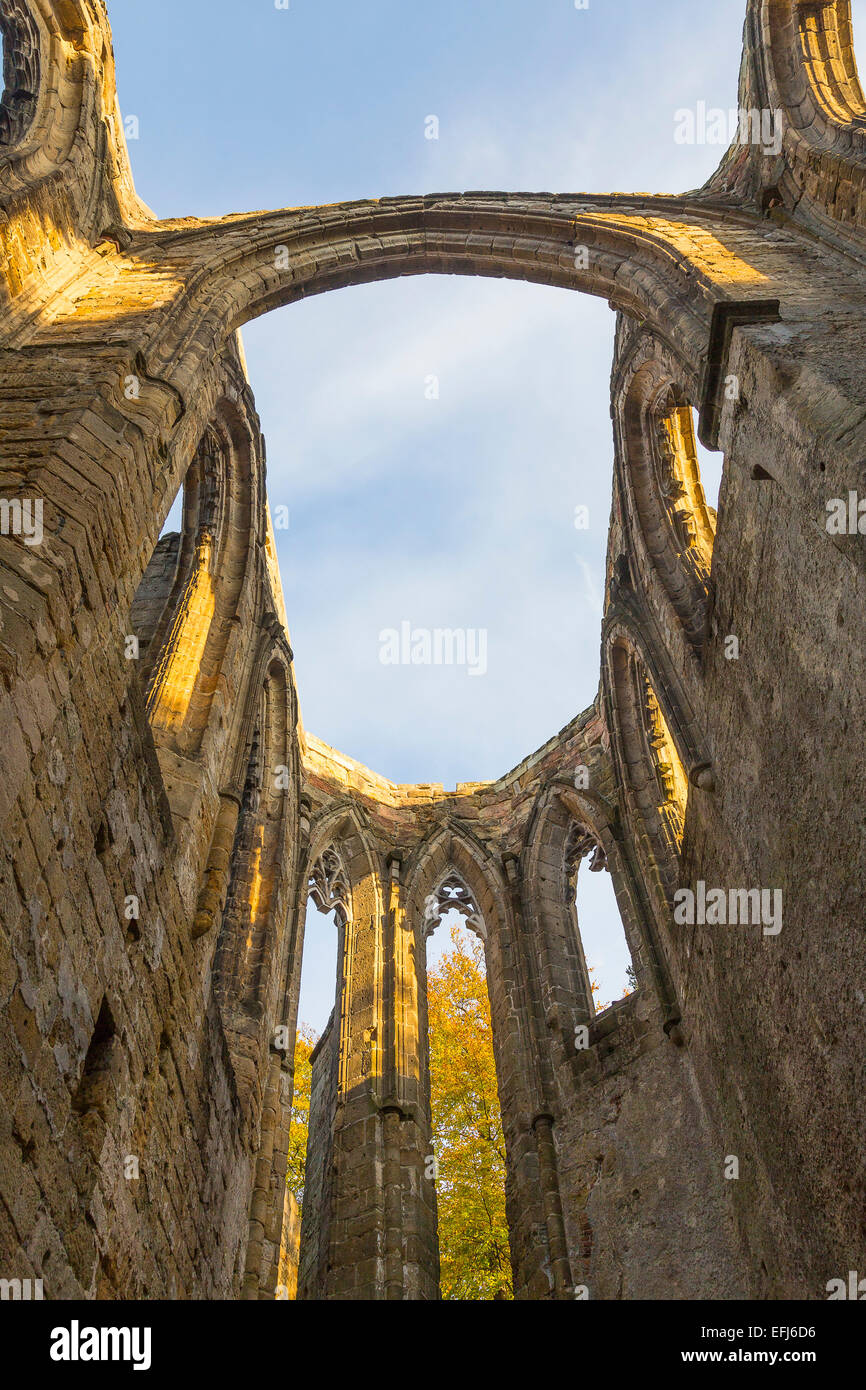 Ruinas románticas de la iglesia del monasterio en el monte Oybin, Oybin, Sajonia, Alemania Foto de stock