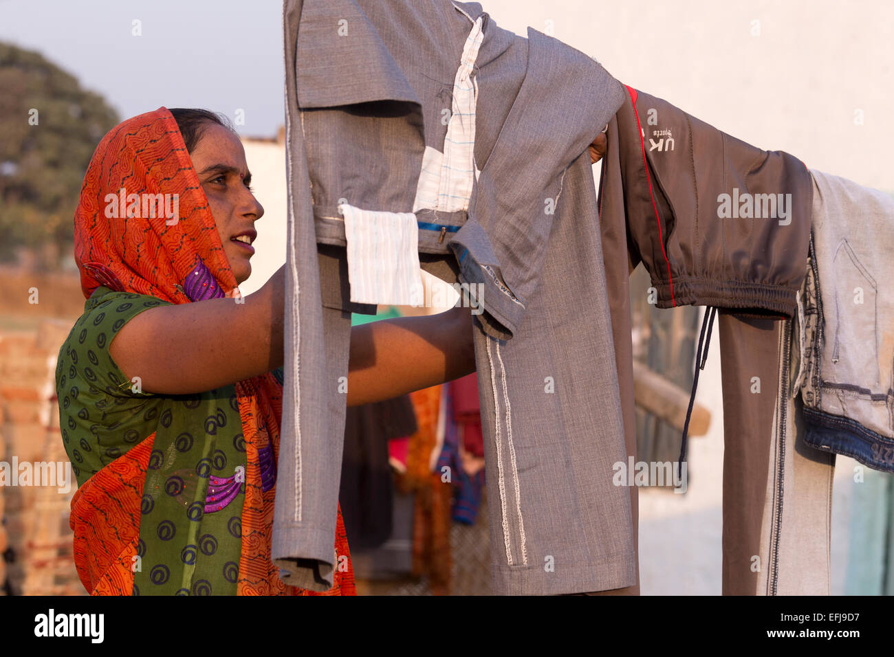 La India, Uttar Pradesh, Agra, mujer colgando del lavado en seco Foto de stock