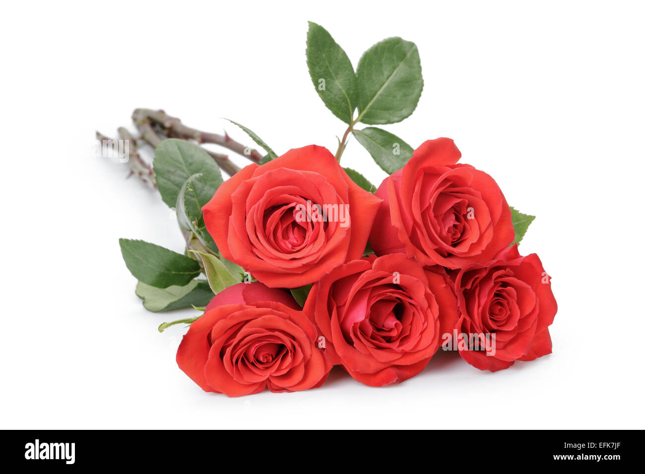 Cinco rosas rojas aislado en blanco Foto de stock