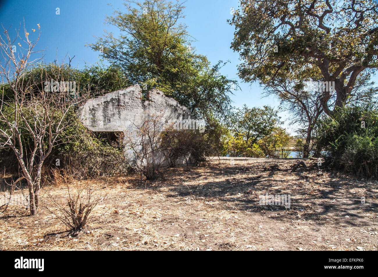 Casas abandonadas en el veld bush cerca de un río siendo retomada por la naturaleza. Foto de stock