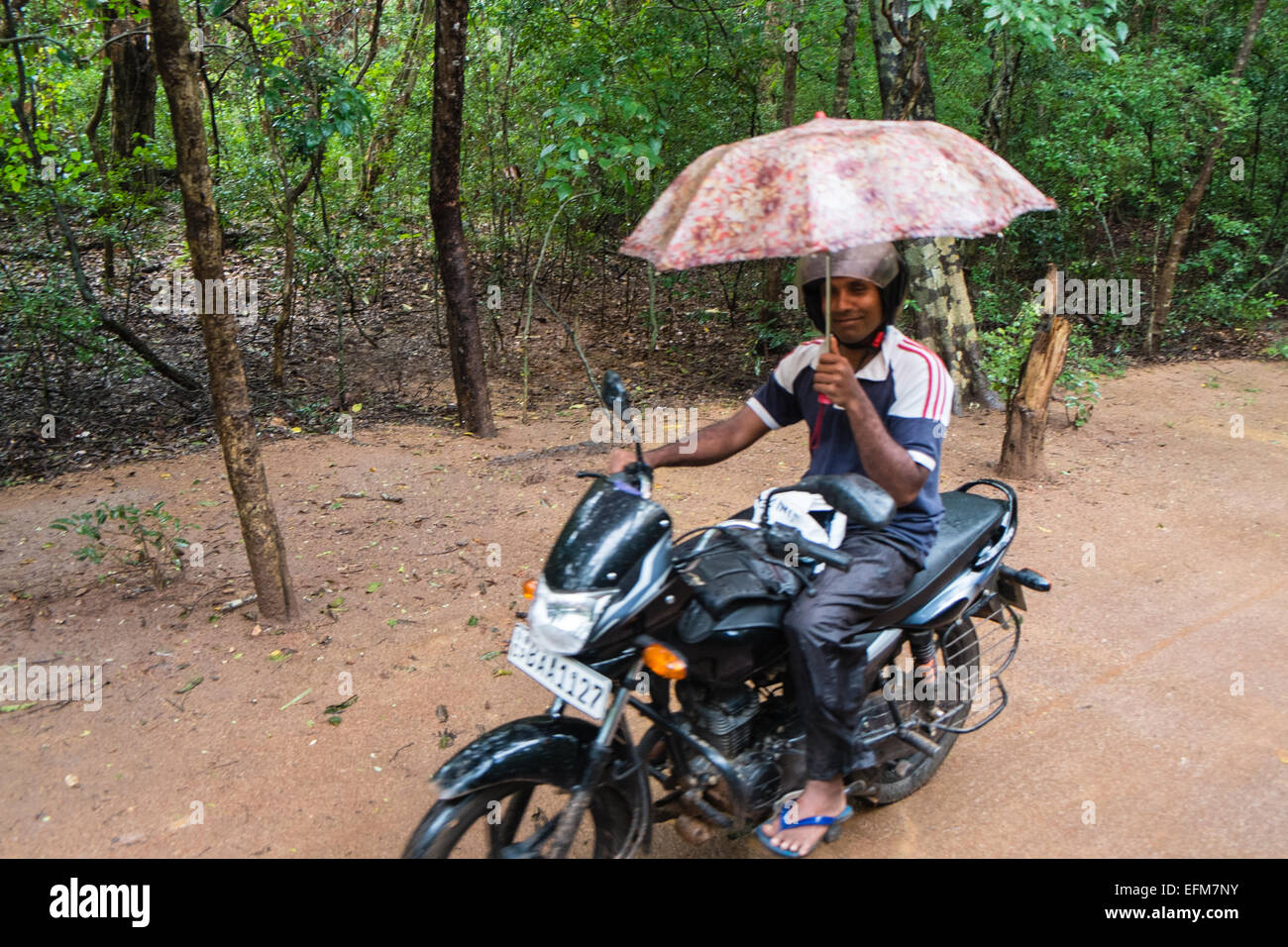 Montando en moto por lluvia monzónica lluviosa con una mano sosteniendo un paraguas  de Sigiriya, Sri Lanka,rock,UNESCO, paraguas, Monzón Fotografía de stock -  Alamy