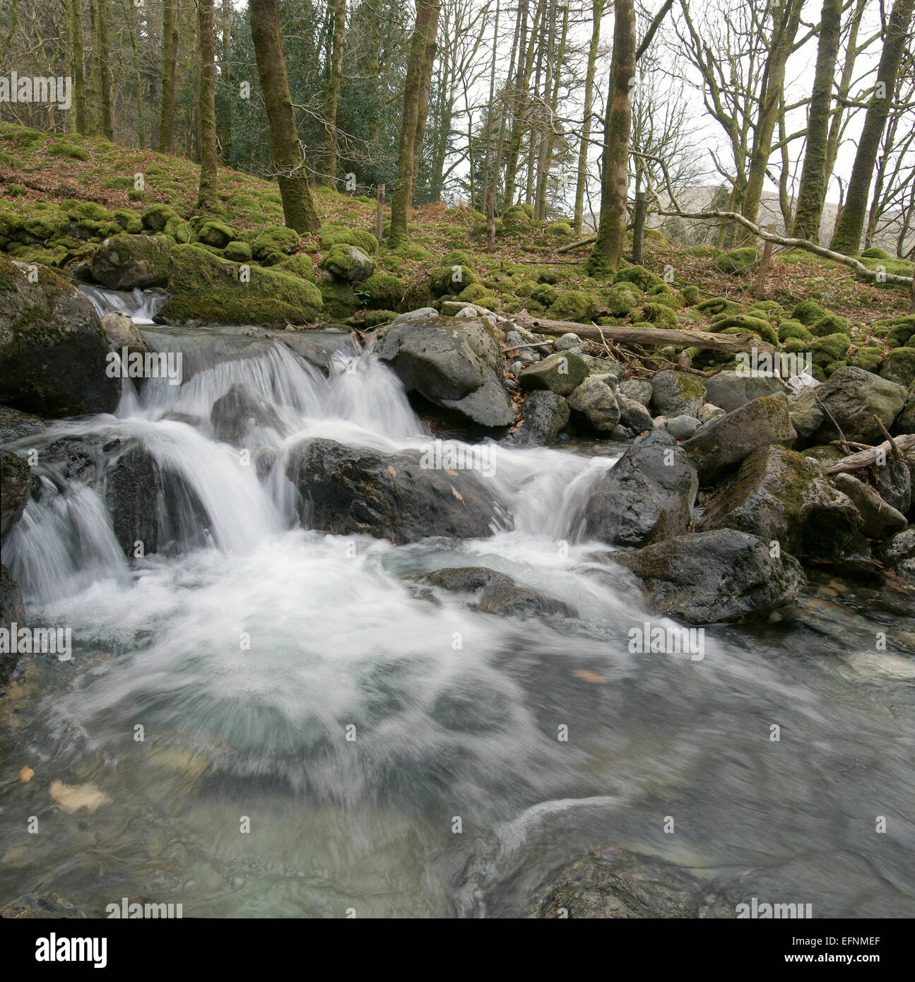 Cascada en la empinada subida Cadair Idris junto al río Cadair Nant Foto de stock