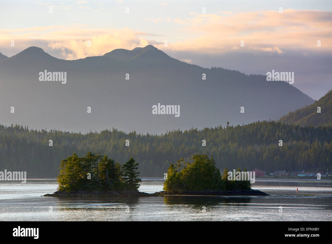 América del Norte, Canadá, Columbia Británica, Vancouver Island, Tofino Foto de stock