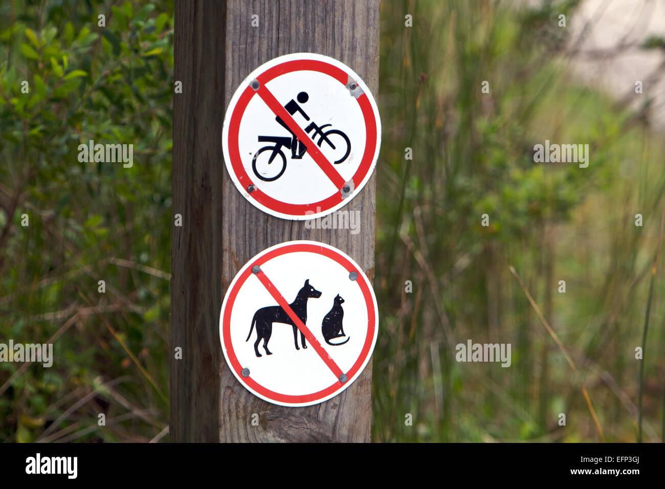 No hay ninguna entrada señal de carretera - No hay bicicletas y animales Foto de stock