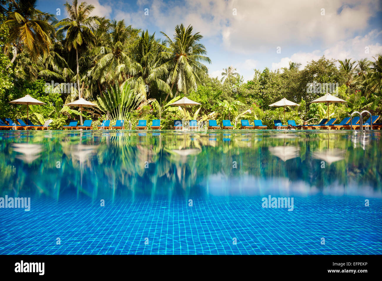 Piscina Tropical vistas sobre el agua y debajo del agua. Maldivas. Foto de stock