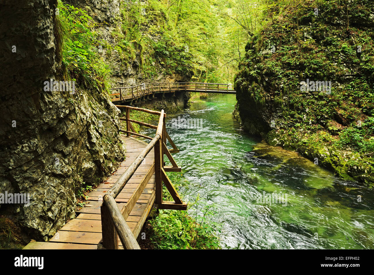 Río Radovna Vintgar Gorge, Gorje, Bled, Eslovenia, Europa Foto de stock