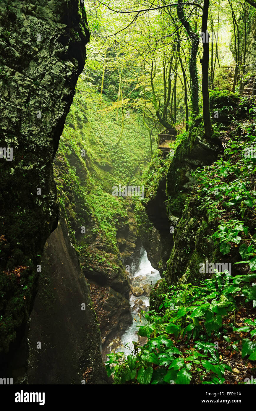 Tolmin Gorge, Tolmin, Eslovenia, Europa Foto de stock