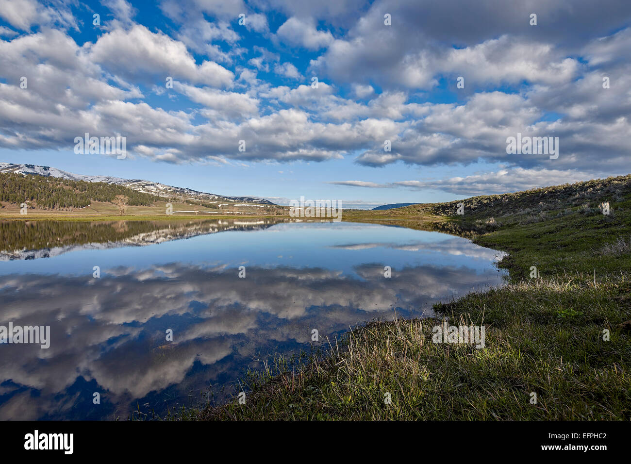 Las nubes se refleja en un estanque, el Parque Nacional de Yellowstone, Sitio del Patrimonio Mundial de la UNESCO, Wyoming, Estados Unidos de América Foto de stock