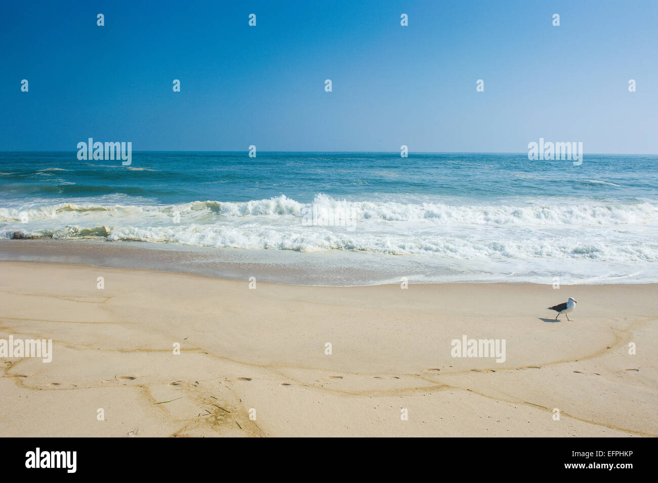 Playa larga de los Hamptons, en Long Island, Estado de Nueva York, Estados Unidos de América, América del Norte Foto de stock