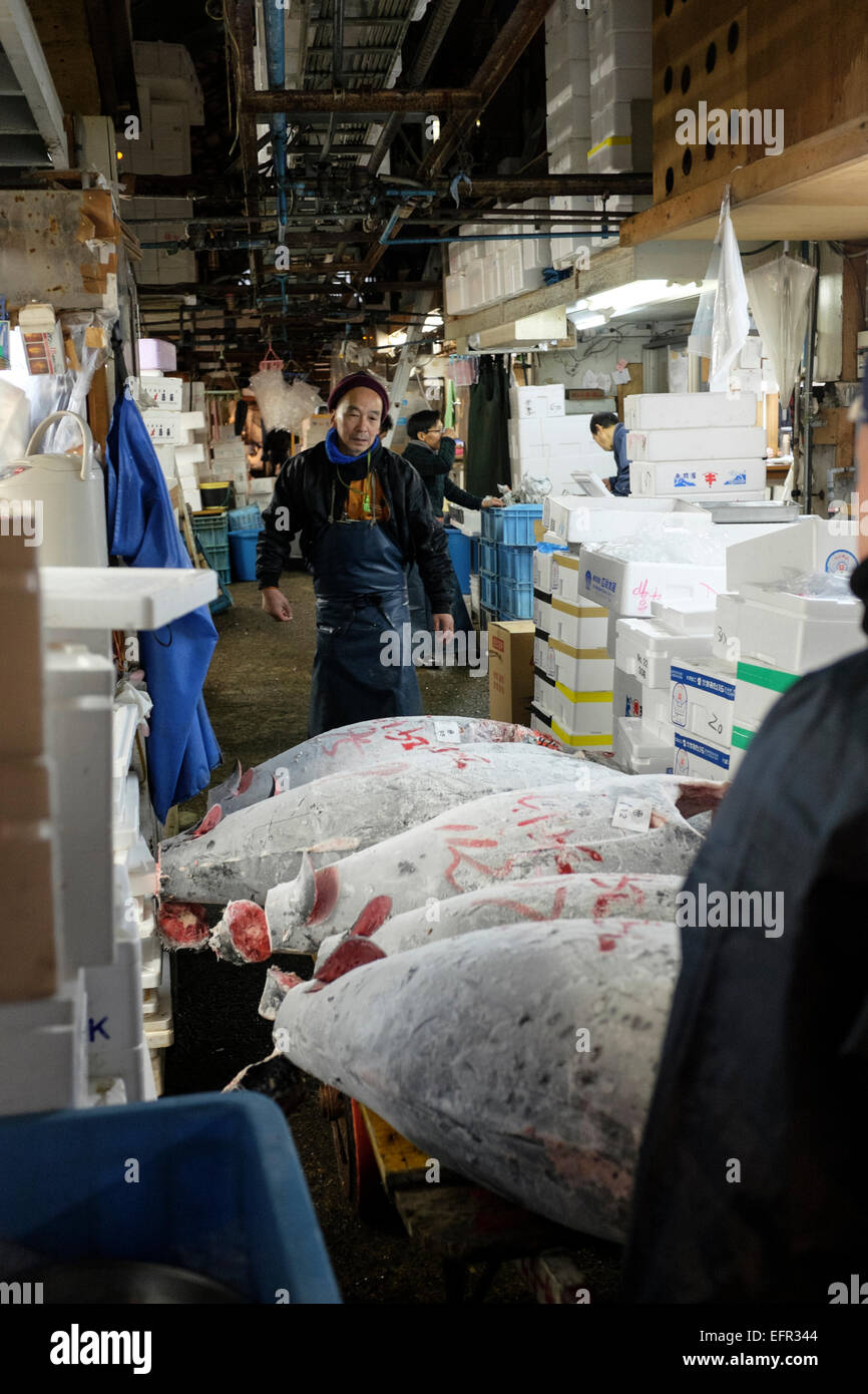 Mercado de Pescado de Tsukiji, en Tokio, Japón. El mayorista más grande mercado de pescados y mariscos en el mundo. El mercado maneja más de 400 tipos de pescado y mariscos a partir de diminutas sardinas y atún a la Ballena. Más de 700.000 toneladas métricas de mariscos son tratadas cada año con un total de unos 6.000 millones de dólares. Unos 60.000 trabajadores están empleados en el mercado. Foto de stock